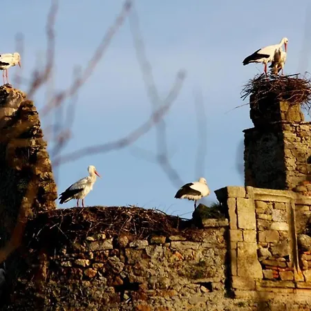 Frühstückspension Normand'histoire D'hotes