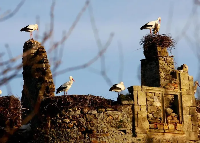Frühstückspension Normand'histoire D'hotes